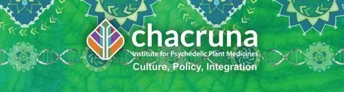 My work with the Chacruna Institute for Psychedelic Plant Medicines