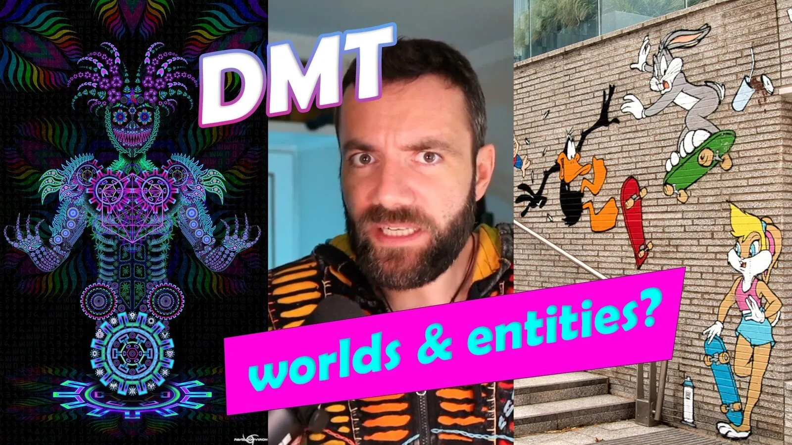 DMT worlds and entities: new research reaction