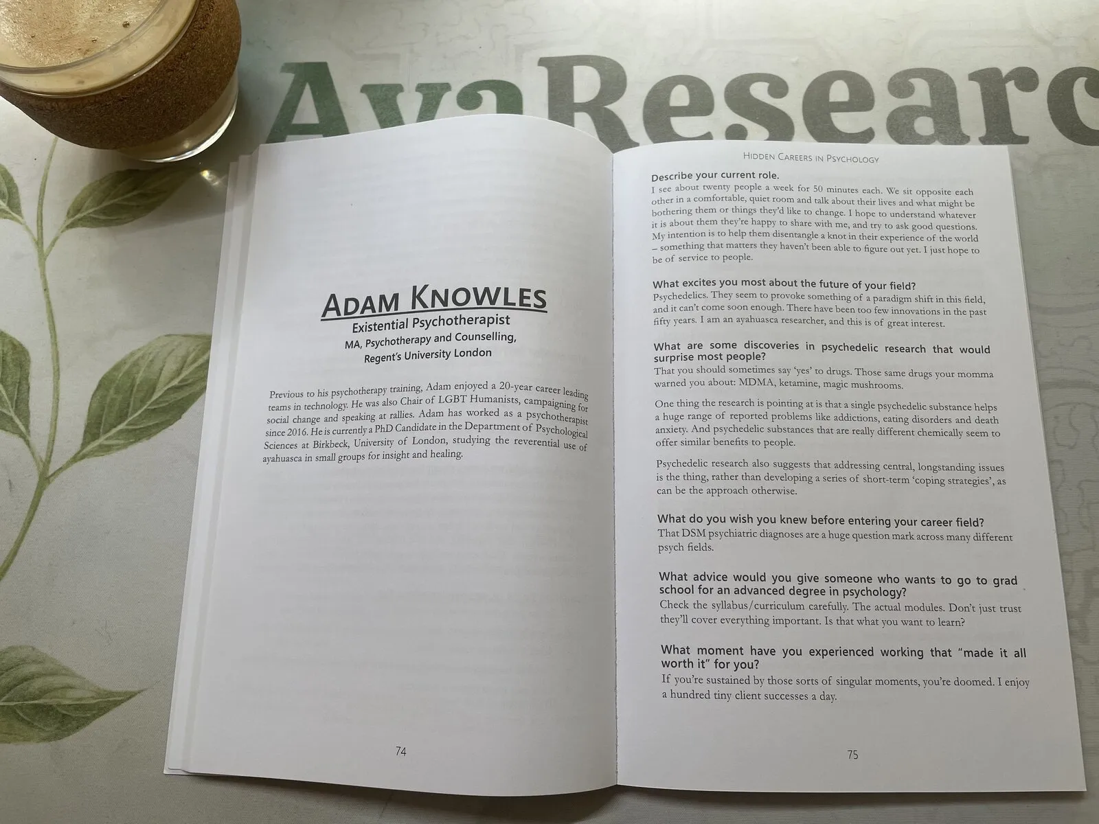 Hidden Careers in Psychology book