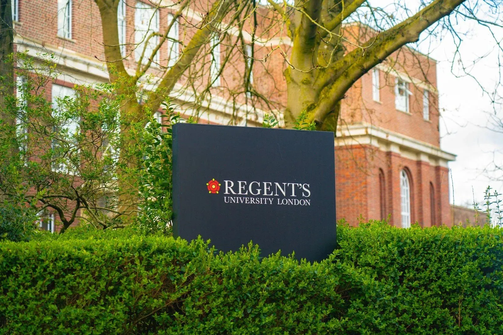 Joining Regent’s University London as a Member of Staff