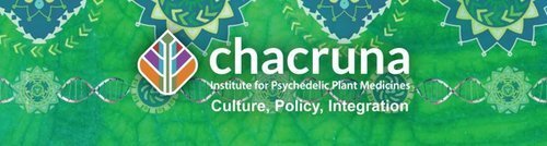 My work with the Chacruna Institute for Psychedelic Plant Medicines
