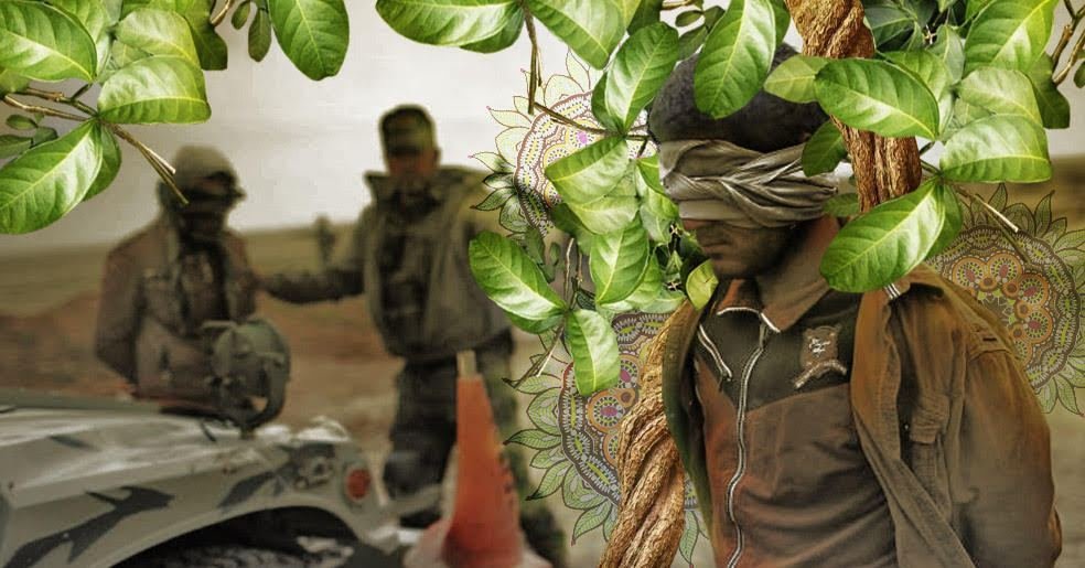 My article for Chacruna on ayahuasca to help victims of genocide in Iraq