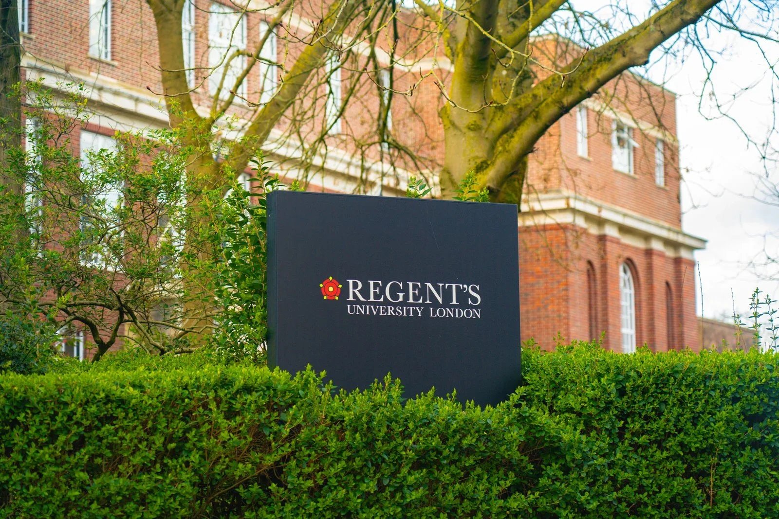 Joining Regent’s University London as a Member of Staff