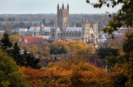 Upcoming talk Tue 15 Oct, Kent: ayahuasca and psychotherapy